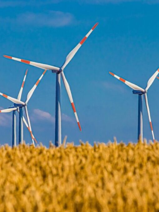 Picture of wind turbine which demonstates the links between energy decisions and sustainability Sustainable energy wind turbine. This serves as an example demostrate the link between energy decisions and sustainability.