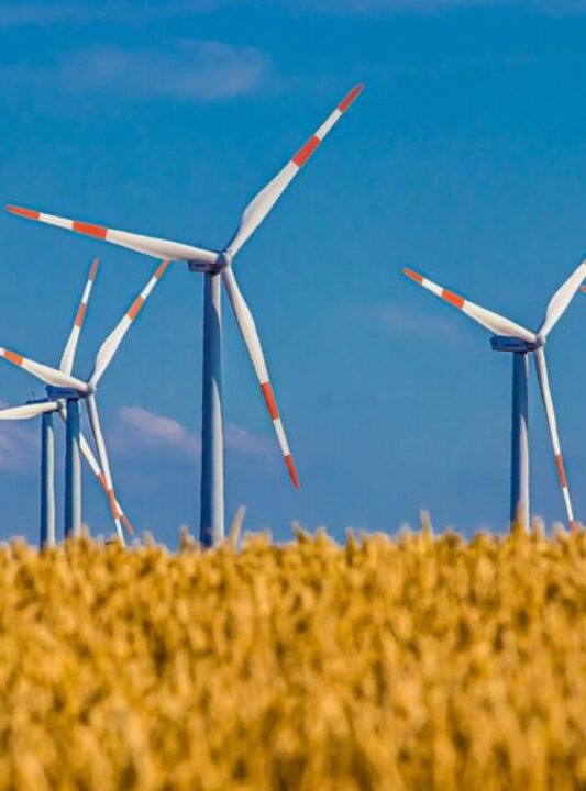 Picture of wind turbine which demonstates the links between energy decisions and sustainability Picture of wind turbine which demonstates the links between energy decisions and sustainability
