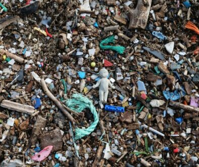 Micorplastics lying on a beach