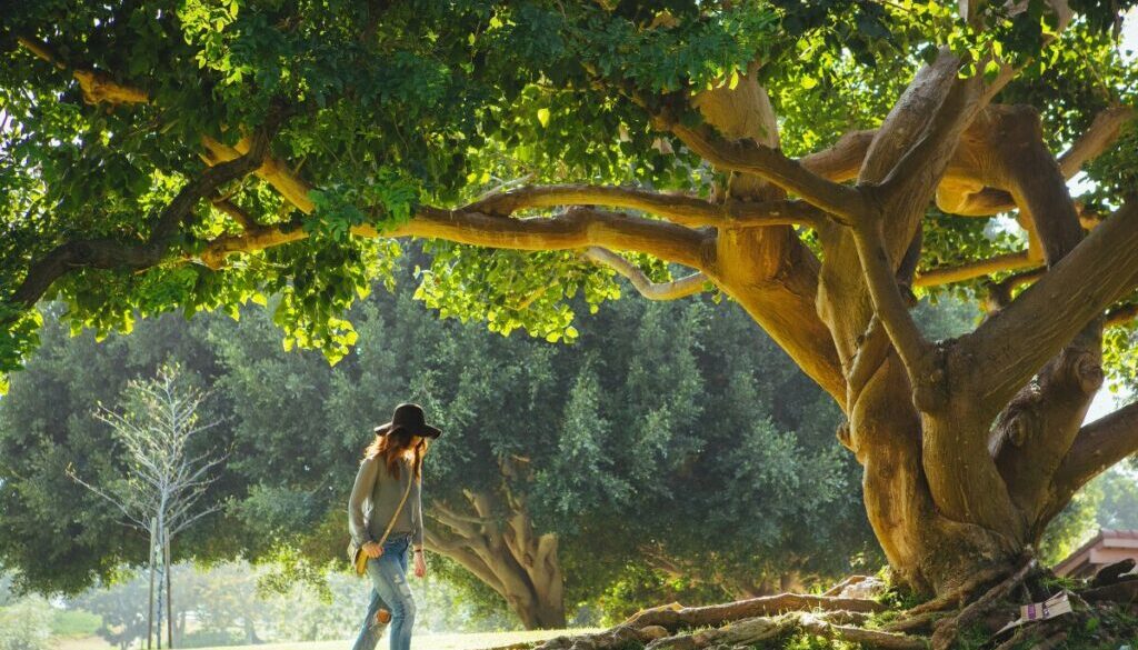 Women in walking in nature