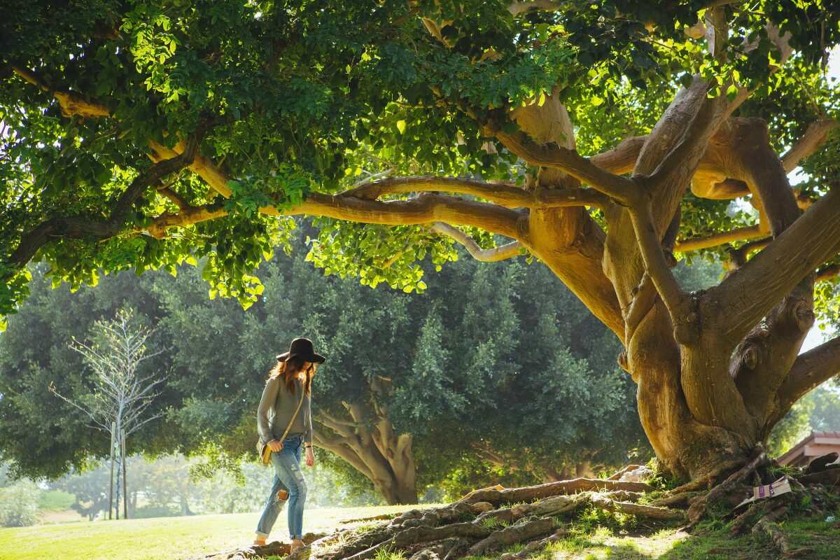 Women in walking in nature